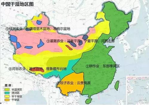 91黑料产区一区一区三区,揭秘神秘产业链的崛起与挑战”